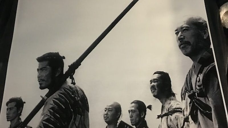 厂区绿化，如何选择成活率高的苗木？**