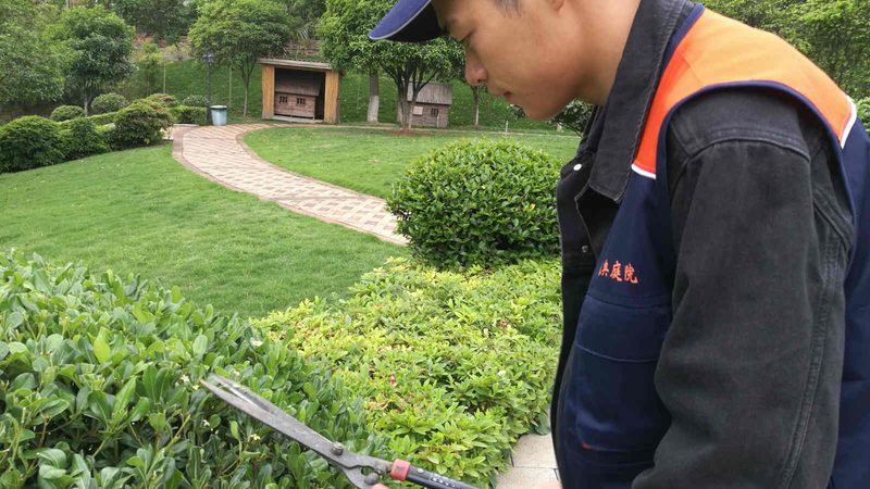 绿化养护招标中标价格：揭秘影响因素与决策要点