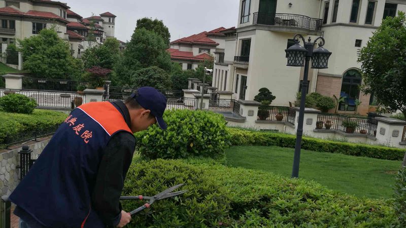 上海绿植租赁服务流程全解析