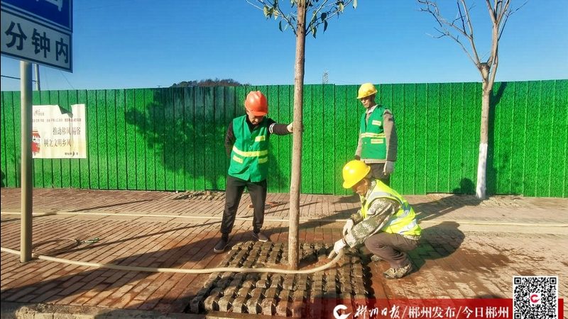 屋顶绿化，如何确保施工规范与验收达标？**