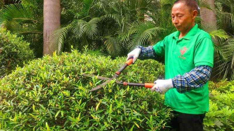 假山喷泉循环系统与传统水池的优劣对比**