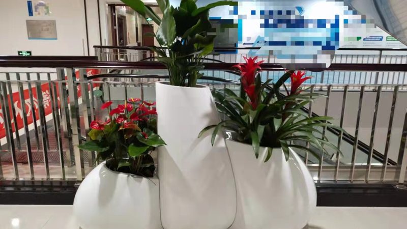 绿化工程报价，规范流程揭秘**