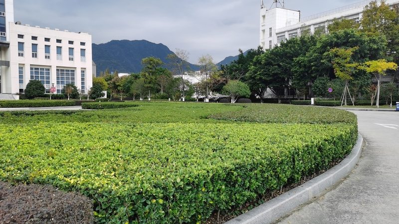 别墅假山喷泉设计验收，这些标准你了解吗？**